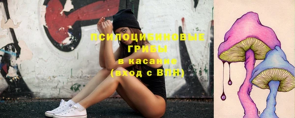 экстази Елизово