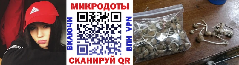 Галлюциногенные грибы прущие грибы кракен ТОР Кандалакша
